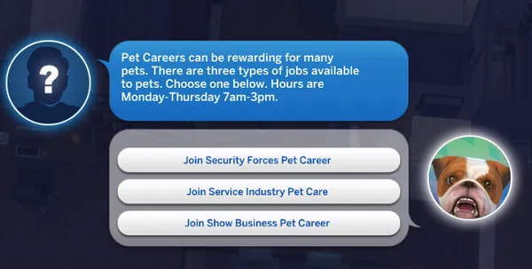 Pet Careers 