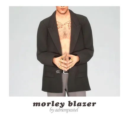  Morley Blazer ·
