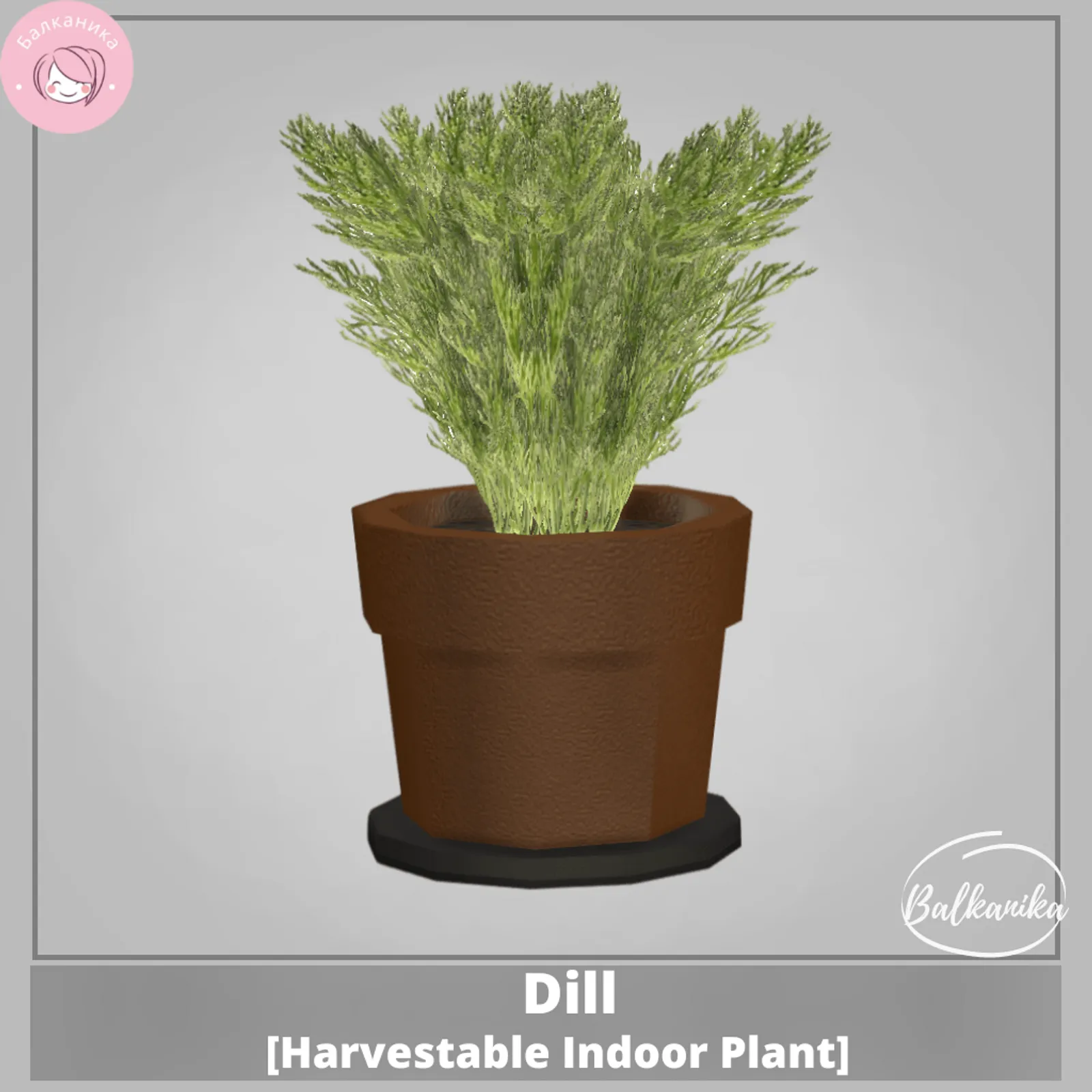 Dill [Harvestable Indoor Plant]
