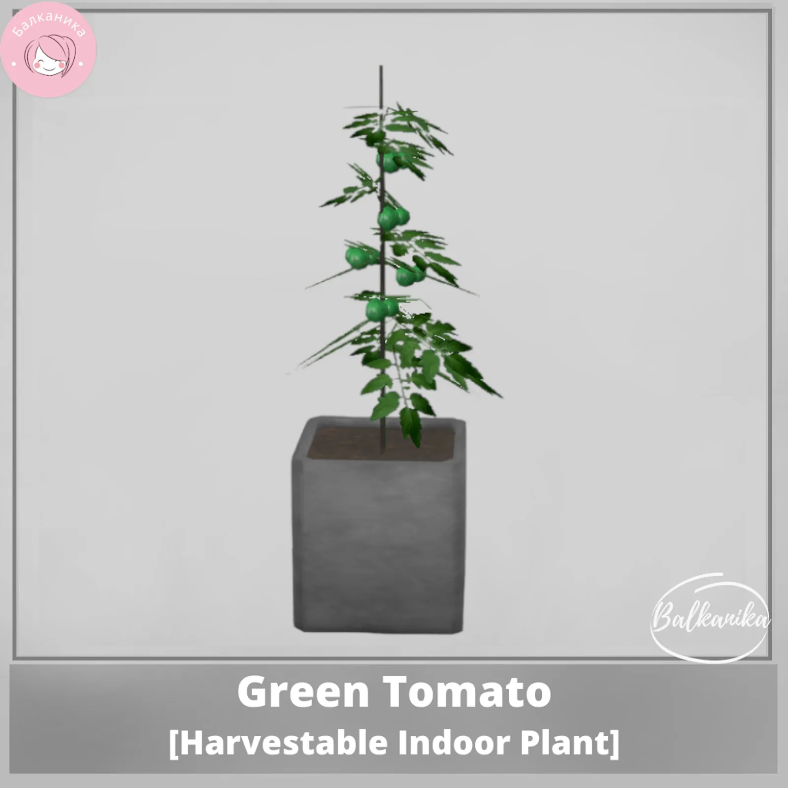 Green Tomato [Harvestable Indoor Plant]