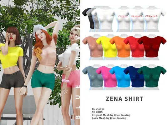 Zena tight shirt