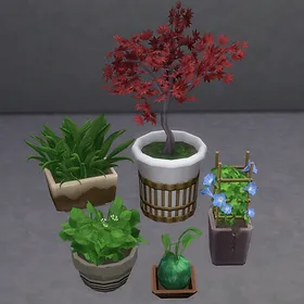 Amy's Garden Plants
