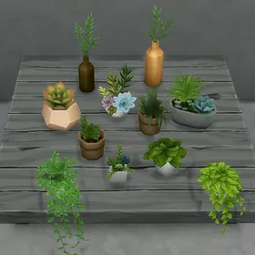 Eco Lifestyle Small Plants