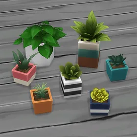 Tiny Living Plant Clutter