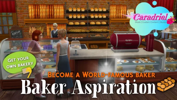 Baker Aspiration