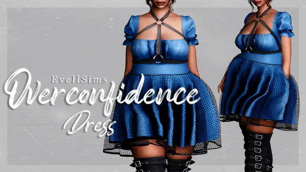 Overconfidence Dress