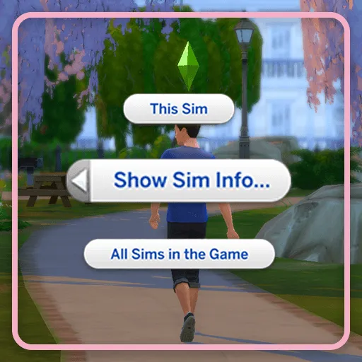 Show Sim Info