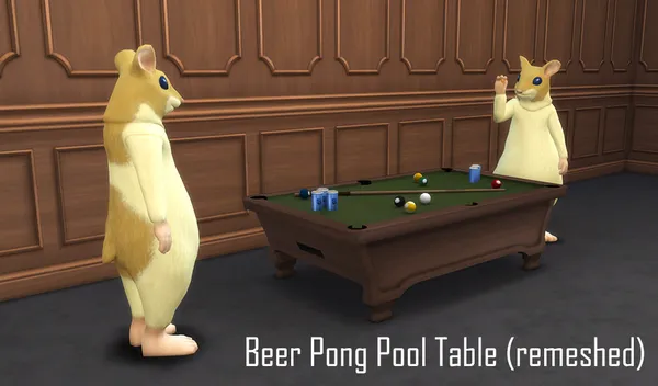 Beer Pong Pool Table - updated