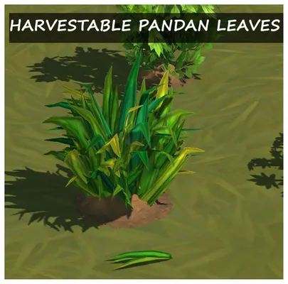 HARVESTABLE PANDAN LEAVES