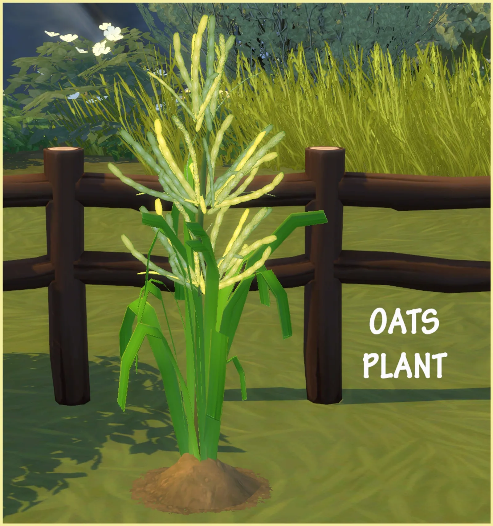 OATS PLANT