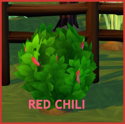 HARVESTABLE RED CHILI