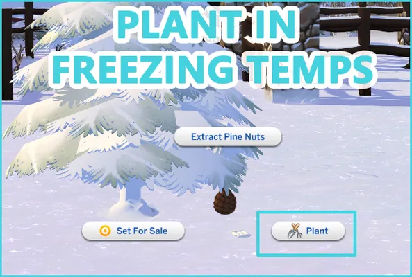 PLANT IN FREEZING TEMPS- OVERRIDE