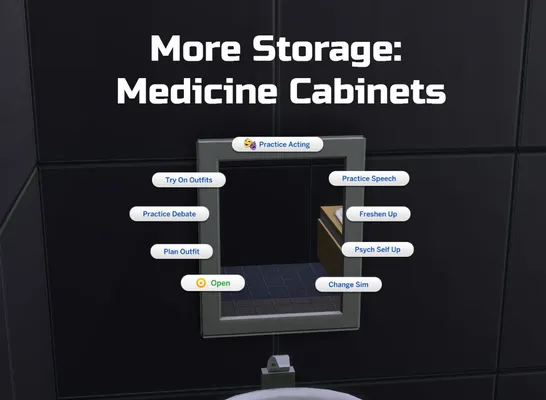 More Storage: Medicine Cabinets