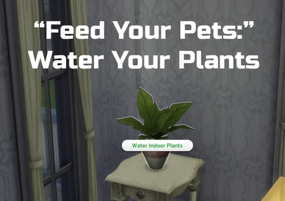 "Feed Your Pets:" Water Your Plants