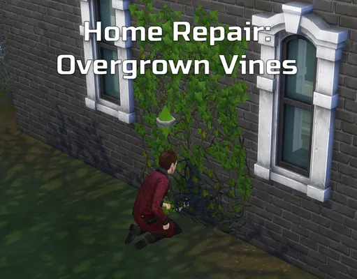 Home Repair: Overgrown Vines