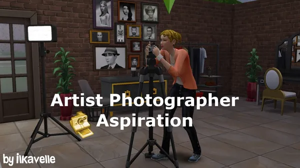 Artist Photographer Aspiration