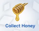 Collect Honey Tradition