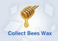 Collect Bees Wax Tradition