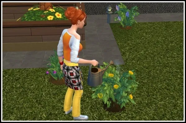 Autonomous Gardening