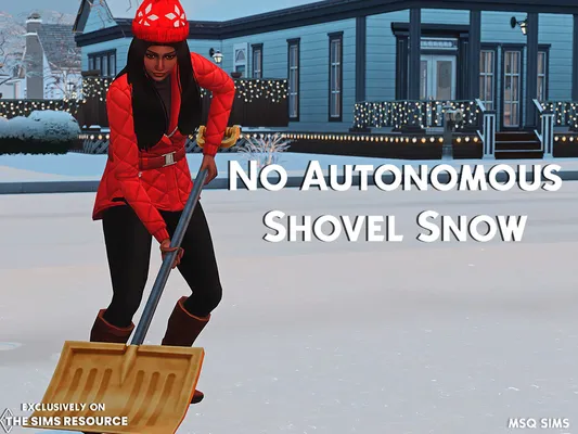 No Autonomous Shovel Snow