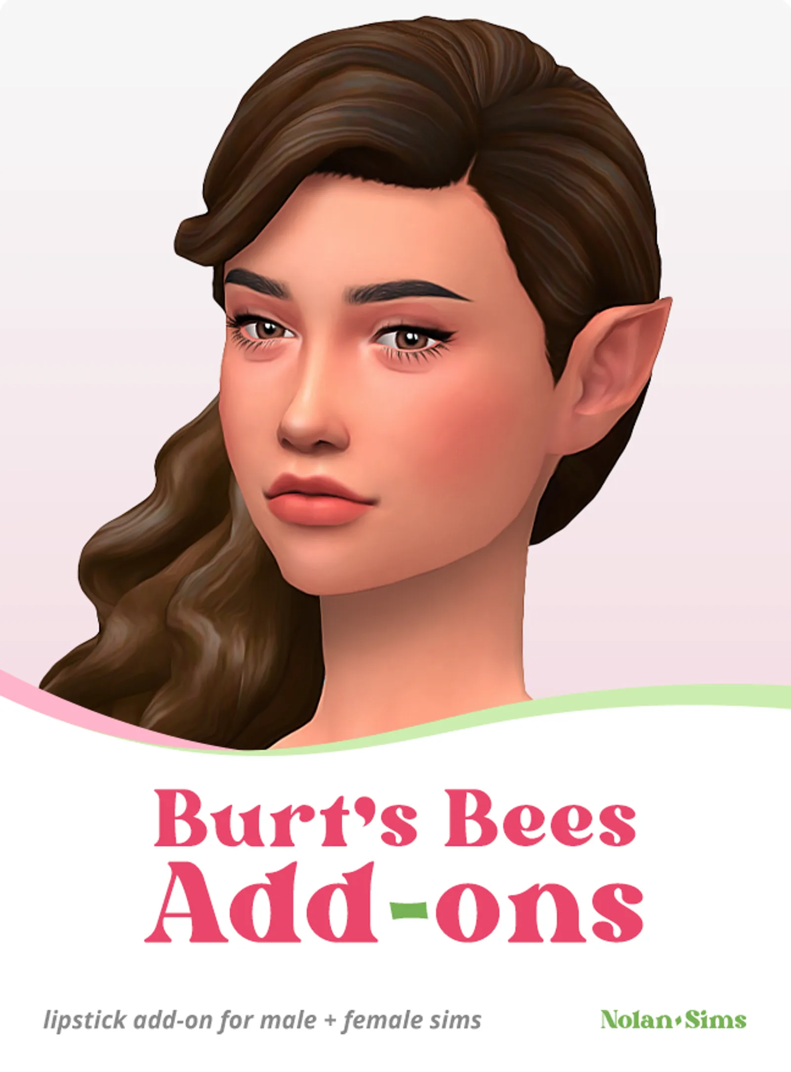 Burt's Bees Lipstick Add-ons