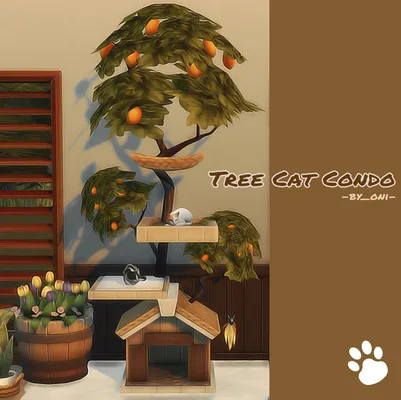 Tree Cat Condo 🌲