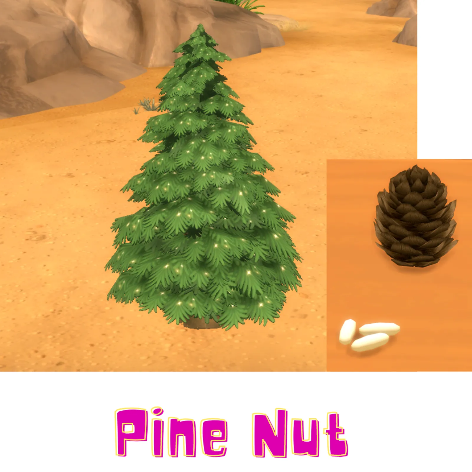 Pine Nut (Harvestable)