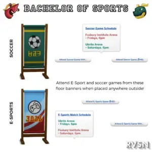 Bachelor of Sports
