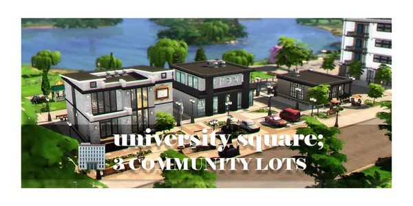 university square; 3 community lots