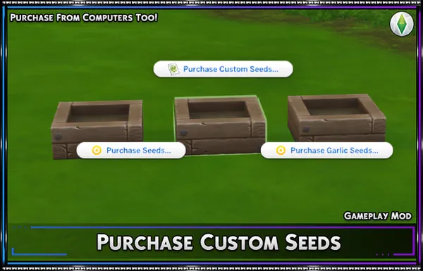 Purchase Custom Seeds