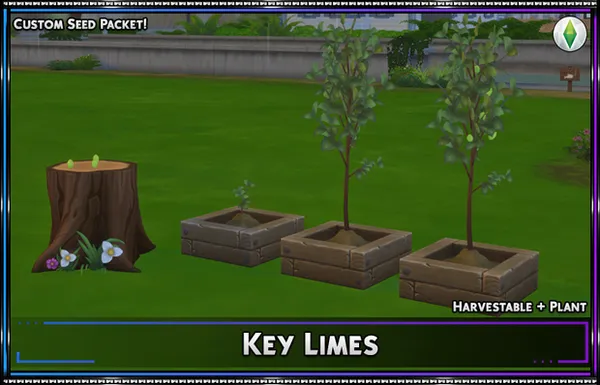 Harvestable: Key Limes