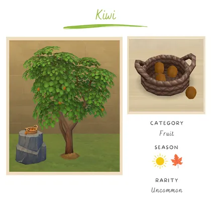 Kiwi (Harvestable) 