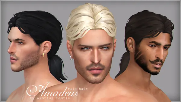 Amadeus (male hair)