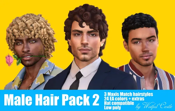 Male Hair Pack 2