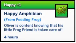 Feed Frog