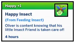 Feed Insect