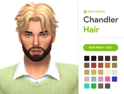 Chandler Hair | greenllamas
